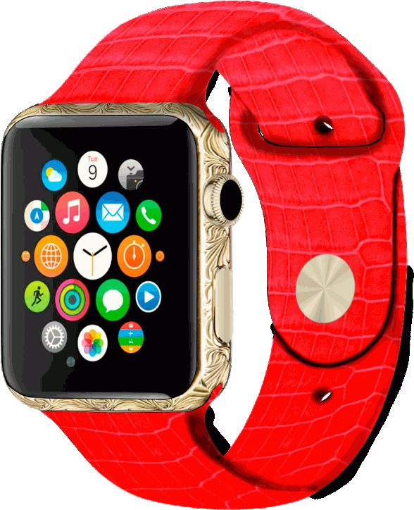 apple watch